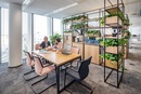 Jak ważna jest obecność roślin zielonych w biurach 